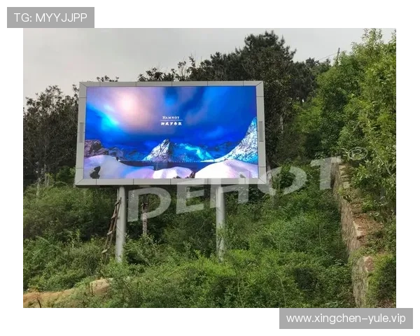极飞视讯下载后如何进行视频播放与管理,完整操作流程解析